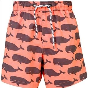 Snapper Rock 3T Board Shorts.  Super cute!